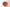 Ginori Oriente Italiano Flat Dinner Plate - Rubrum