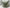 Architectural Elements Thibaut Anna French Pillow - Ensbury Fern Green