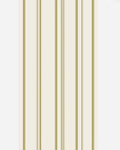Hester & Cook Antique Gold Stripe Cocktail Napkins