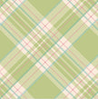 Hester & Cook Bright Green Plaid Paper Cocktail Napkins