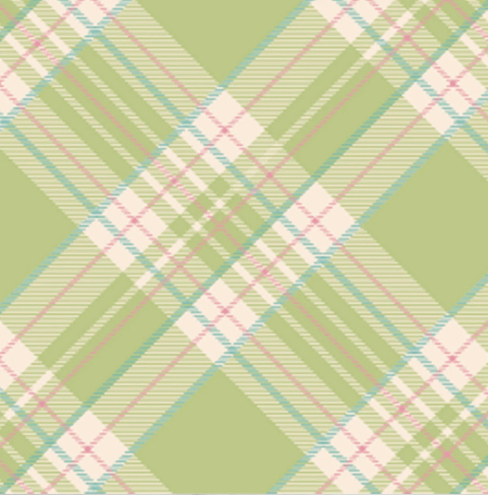 Hester & Cook Bright Green Plaid Paper Cocktail Napkins