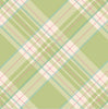 Hester & Cook Bright Green Plaid Paper Cocktail Napkins