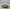 Casafina Fontana Pasta Bowl - Forest Green