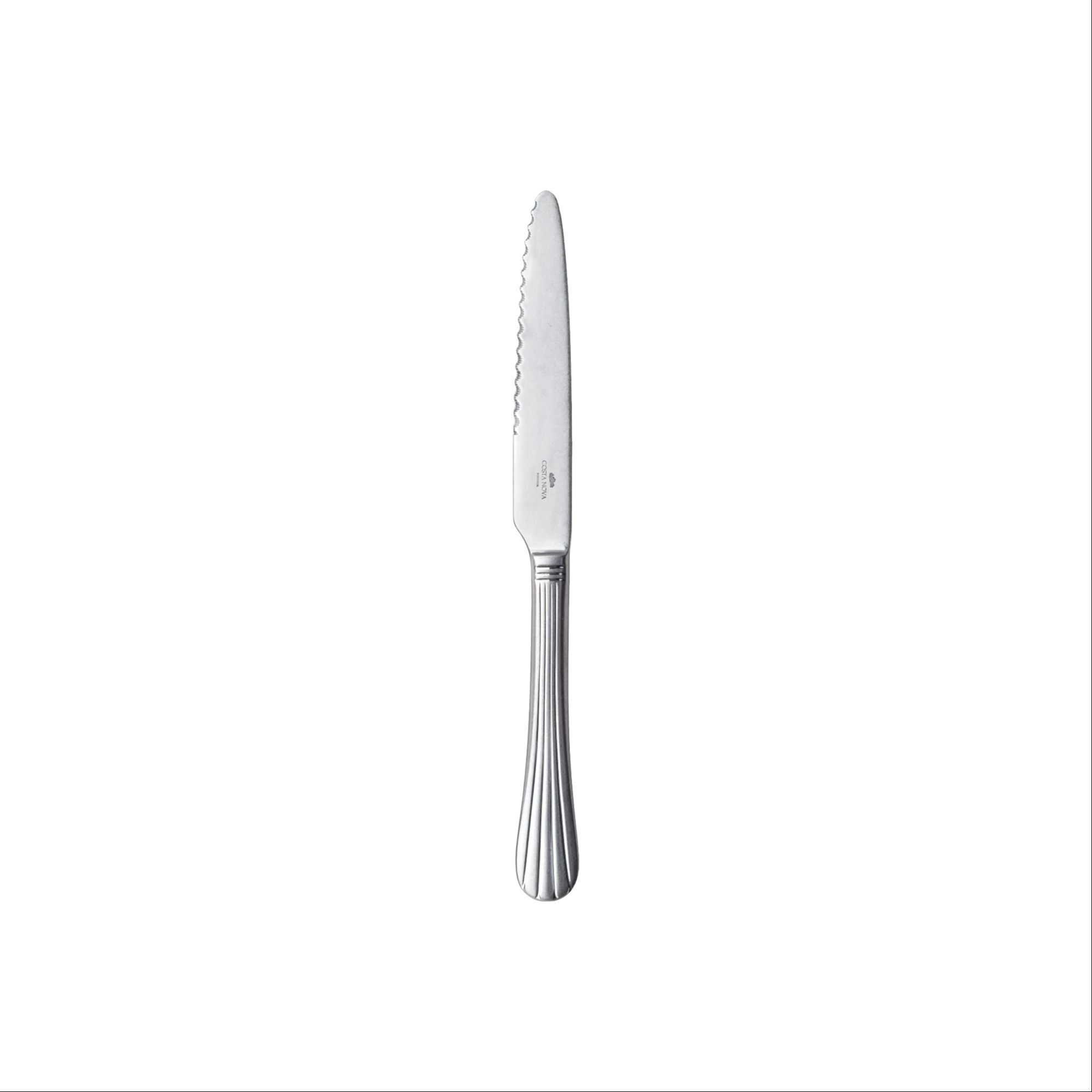 Costa Nova Duoro Steak Knife - Brushed