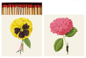 Hester & Cook In Bloom Matches