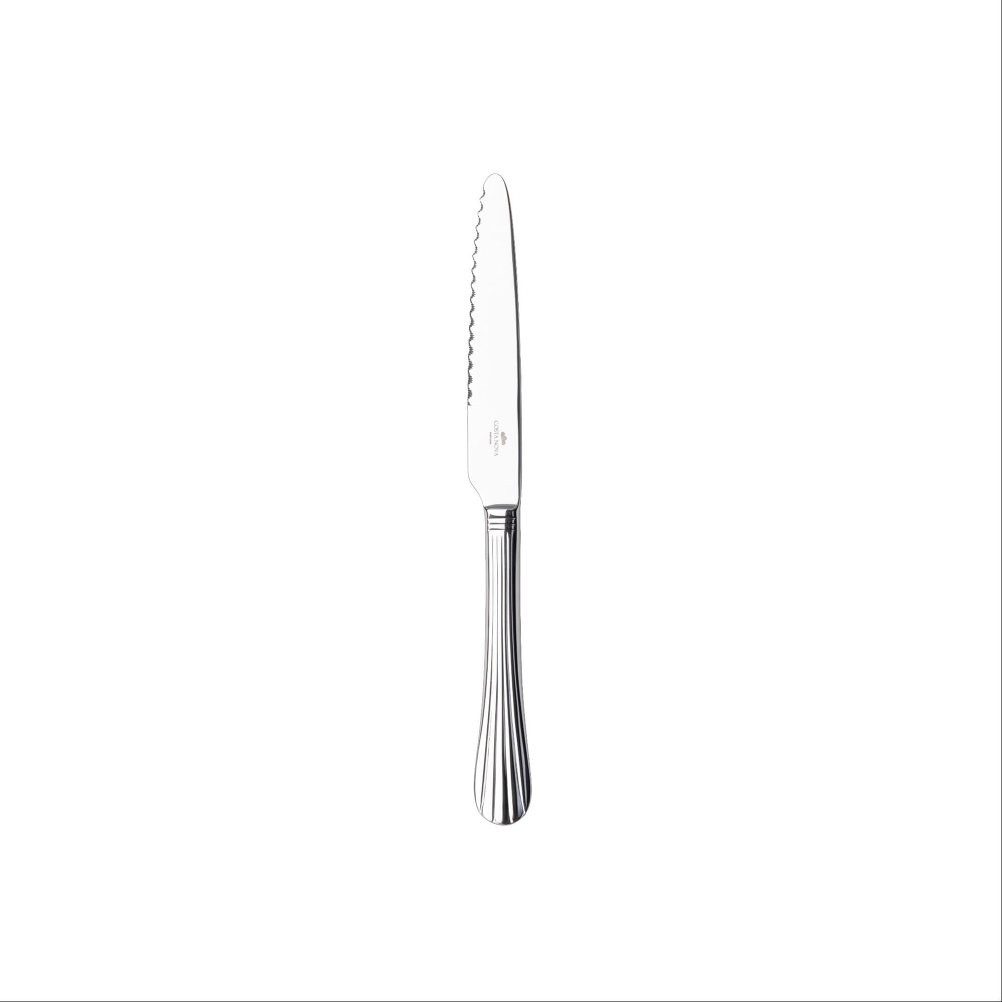 Costa Nova Duoro Steak Knife - Polished