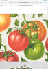 Hester & Cook Tomato Paper Cocktail Napkins