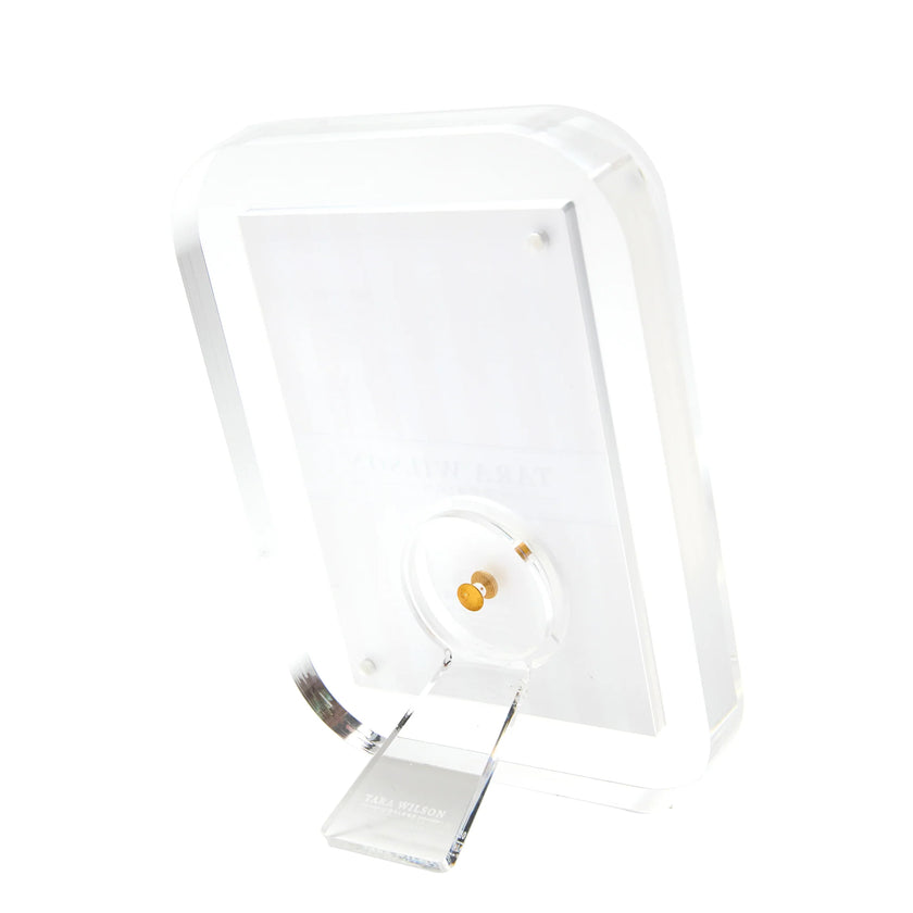 Tara Wilson Designs Pop Frame - Clear - 4X6