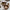 Juliska Bilbao Salad Servers