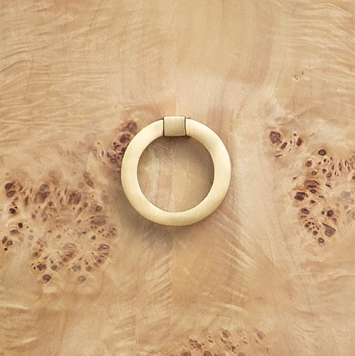 Worlds Away Henry Chest in Burl Wood