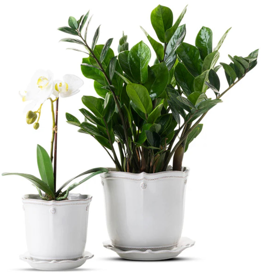 Juliska Berry & Thread 7