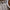 Costa Nova Nau Hostess Serving Set - Polished