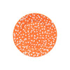 Costa Nova Rafaela Dinner Plate - Tangerine