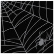 Hester & Cook Spiderweb Paper Cocktail Napkins