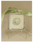 Porter Rivers Ornament