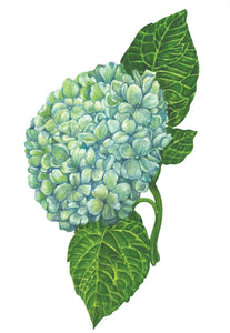Hester & Cook "Hydrangea" Table Accents