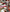 Vietri Old St. Nick Dinner Plates - Set of 4