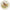 Vietri Wildlife Salad Plates - Set of 8