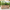 Juliska Provence Rattan Rectangular Planter - Whitewash