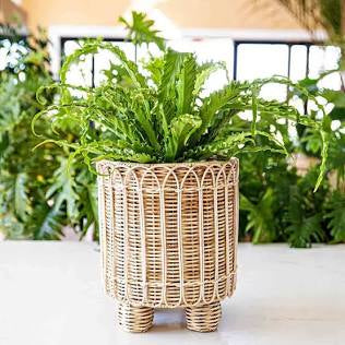 Juliska Provence Rattan 8