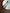 Sabre Icone 5 piece flatware set - Dark Green
