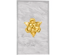 Southern Tribute Magnolia Guest Towel Box - Pearl
