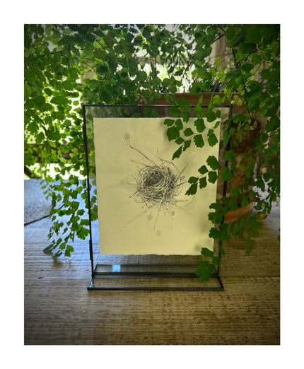 Laura Roebuck Nest I