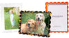 Tara Wilson Designs Acrylic Beveled Scallop Frame - Orange