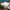 Casafina Impressions Covered Casserole Baker - White
