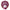Anna's Palette Purple Orchid Dinner Plate by Anna Weatherley