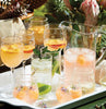Juliska Isabella Wine Glass - Acrylic
